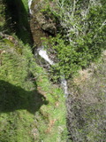 /pix/2011/lucasv384a.jpg