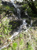 /pix/2011/lucasv389a.jpg