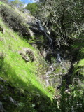 /pix/2011/lucasv392a.jpg