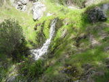 /pix/2011/lucasv396a.jpg