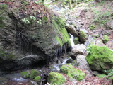 /pix/2011/lucasv404a.jpg