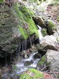 /pix/2011/lucasv405a.jpg