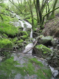 /pix/2011/lucasv568a.jpg