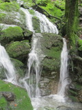 /pix/2011/lucasv569a.jpg
