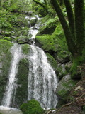 /pix/2011/lucasv570a.jpg