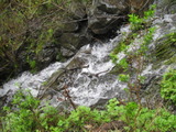 /pix/2011/lucasv572a.jpg
