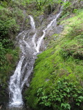 /pix/2011/lucasv574a.jpg