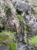 /pix/2011/lucasv580a.jpg