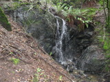 /pix/2011/lucasv582a.jpg