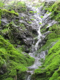 /pix/2011/lucasv583a.jpg