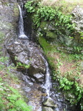 /pix/2011/lucasv588a.jpg