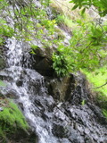 /pix/2011/lucasv590a.jpg