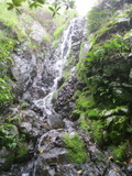 /pix/2011/lucasv594a.jpg