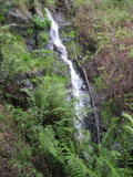 /pix/2011/lucasv601a.jpg