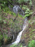 /pix/2011/lucasv603a.jpg