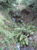 /pix/2011/lucasv604a.jpg