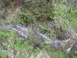 /pix/2011/lucasv606a.jpg