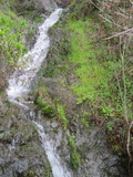 /pix/2011/lucasv607a.jpg