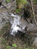 /pix/2011/lucasv608a.jpg