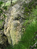 /pix/2011/lucasv623a.jpg