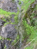/pix/2011/lucasv630a.jpg