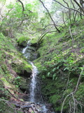 /pix/2011/lucasv635a.jpg