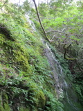/pix/2011/lucasv639a.jpg