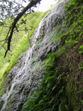 /pix/2011/lucasv643a.jpg