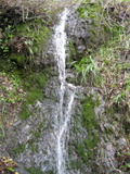 /pix/2011/lucasv647a.jpg