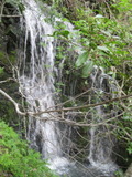 /pix/2011/lucasv663a.jpg