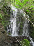 /pix/2011/lucasv664a.jpg