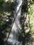 /pix/2011/morses952a.jpg