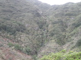 pacifica101a.jpg