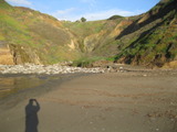 /pix/2011/pacifica115a.jpg