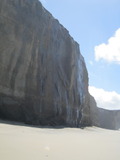 /pix/2011/pomponio246a.jpg