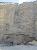 /pix/2011/pomponio258a.jpg