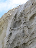 /pix/2011/pomponio261a.jpg