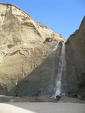 /pix/2011/pomponio280a.jpg