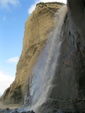 /pix/2011/pomponio285a.jpg