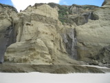 /pix/2011/pomponio320a.jpg