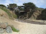 /pix/2011/pomponio343a.jpg