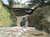 /pix/2011/pomponio345a.jpg