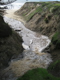 /pix/2011/pomponio347a.jpg