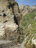 /pix/2011/ptreyes1140a.jpg