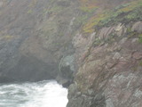 /pix/2011/rodeo465a.jpg