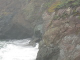 /pix/2011/rodeo466a.jpg