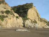 /pix/2011/secret1163a.jpg