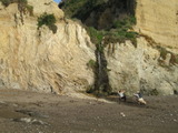 /pix/2011/secret1164a.jpg