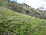 sunol456a.jpg