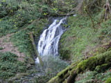 /pix/2011/tam937a.jpg